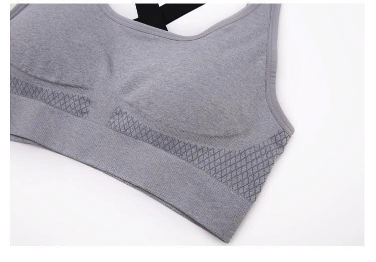 Padded Shockproof Sports Bra by Bowlift