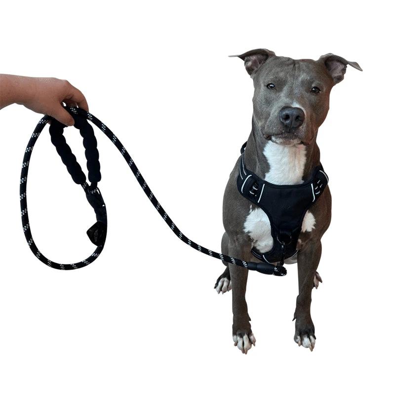 3-in-1 Pet Walking Kit by Bowlift