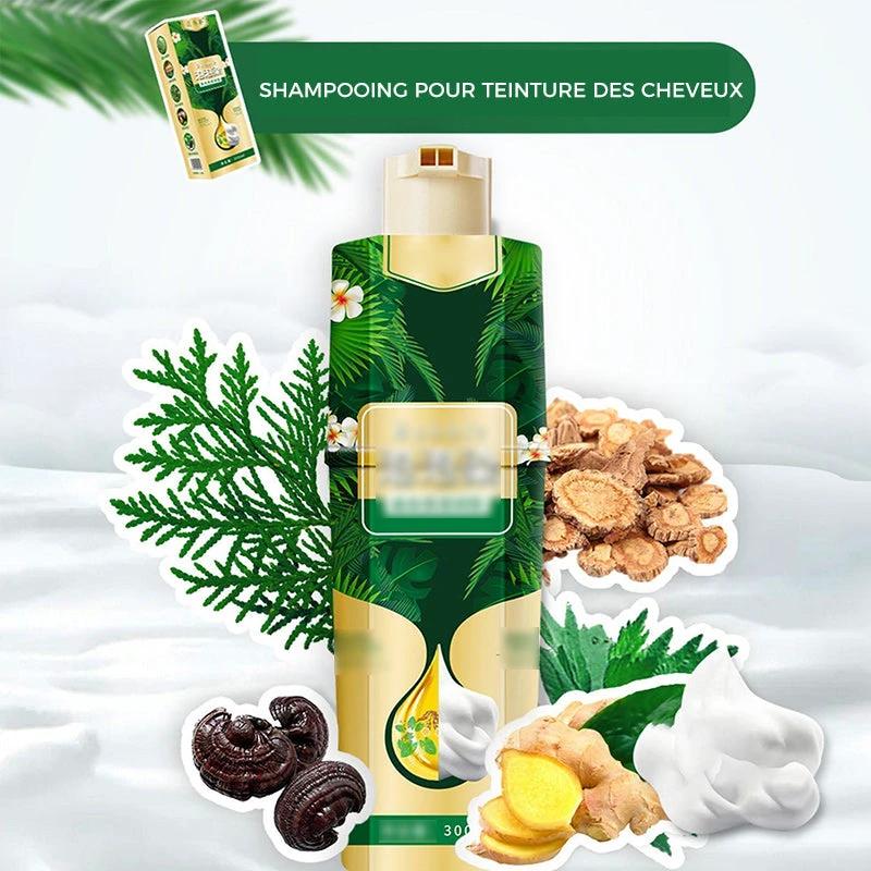 Foam shampoo for hair coloring by Bowlift