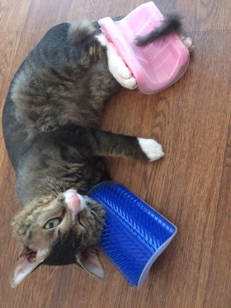 KittyRub - Cat Massage Comb by Bowlift