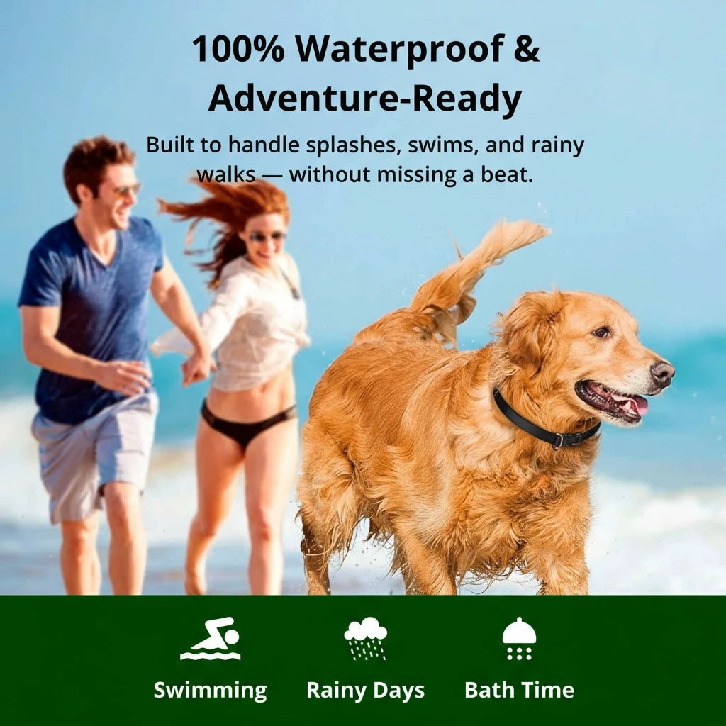 1000m Waterproof Dog Training Collar | Rechargeable, Remote Control & Adjustable for Small, Medium, and Large Dogs by BowLift