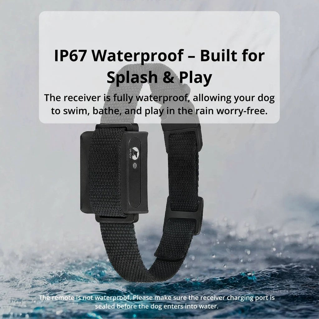 1000m Waterproof Dog Training Collar | Rechargeable, Remote Control & Adjustable for Small, Medium, and Large Dogs by BowLift