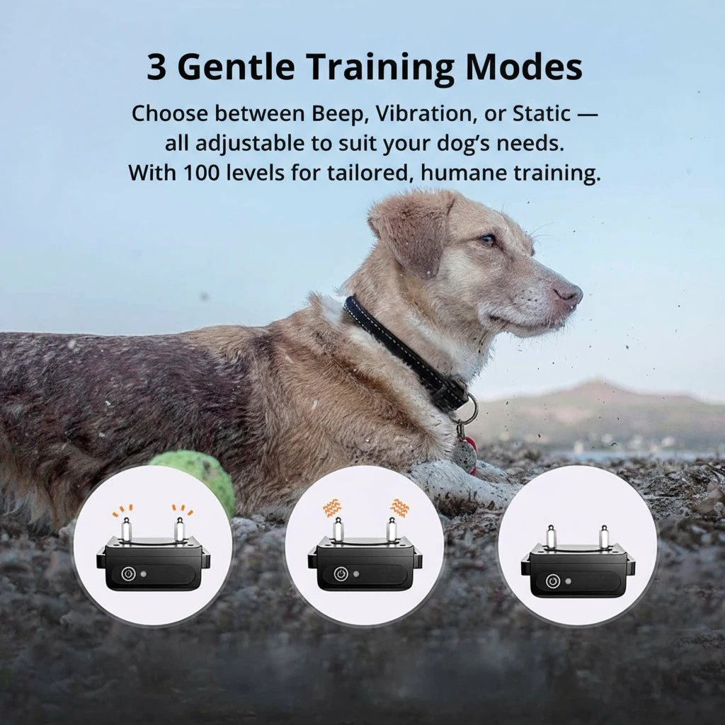 1000m Waterproof Dog Training Collar | Rechargeable, Remote Control & Adjustable for Small, Medium, and Large Dogs by BowLift