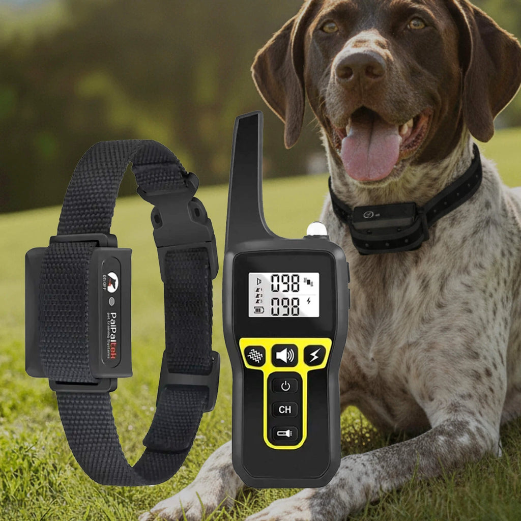 1000m Waterproof Dog Training Collar | Rechargeable, Remote Control & Adjustable for Small, Medium, and Large Dogs by BowLift