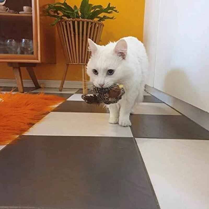 Cat toy - Simulated chirping bird Bowlift by Bowlift