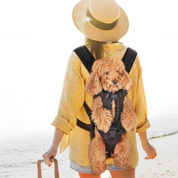 Comfortable Pet Carrier Cockpit – Waterproof & Breathable – For Dog or Cat by BowLift