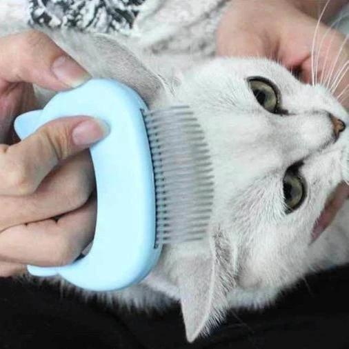 Mini Comb for Pets 2 In 1 by Bowlift
