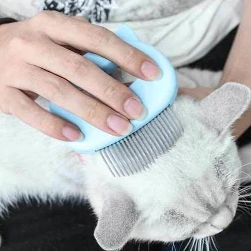 Mini Comb for Pets 2 In 1 by Bowlift