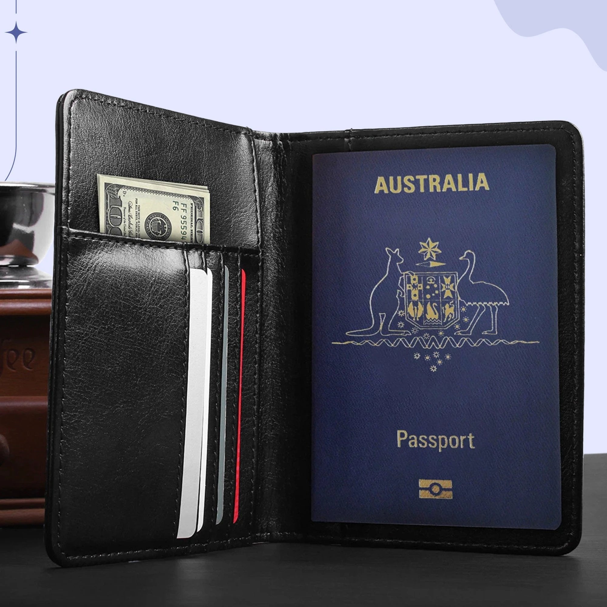 Passport Wallet for Travelling Bowlift by Bowlift