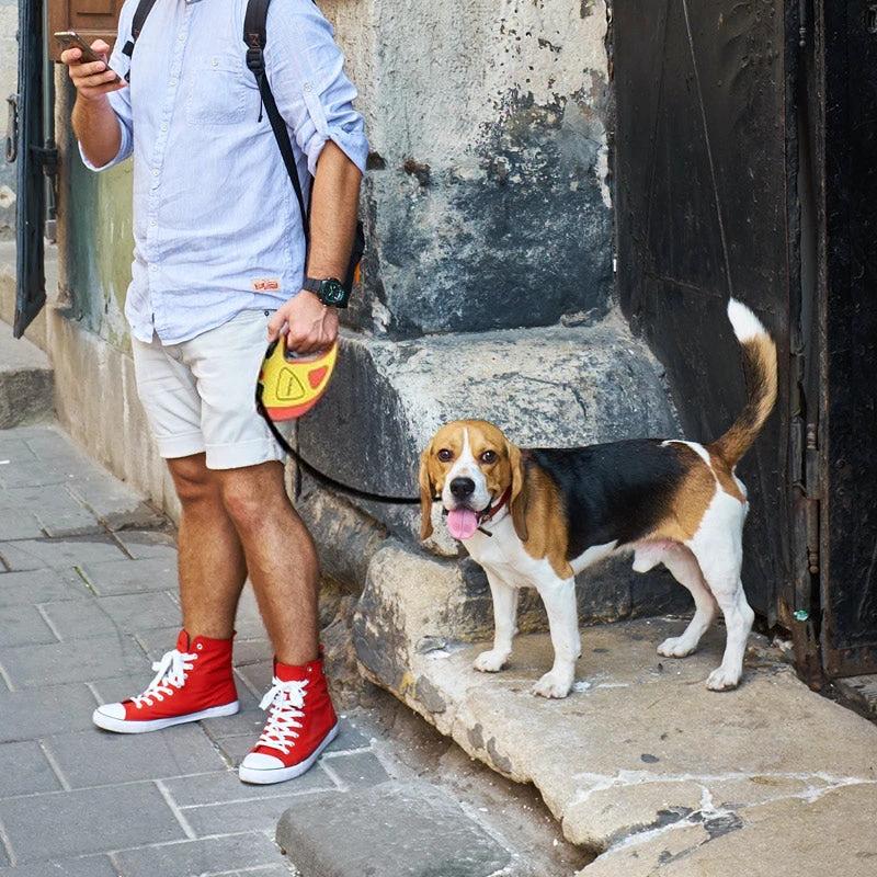 LED Leash for Pets retractable by Bowlift