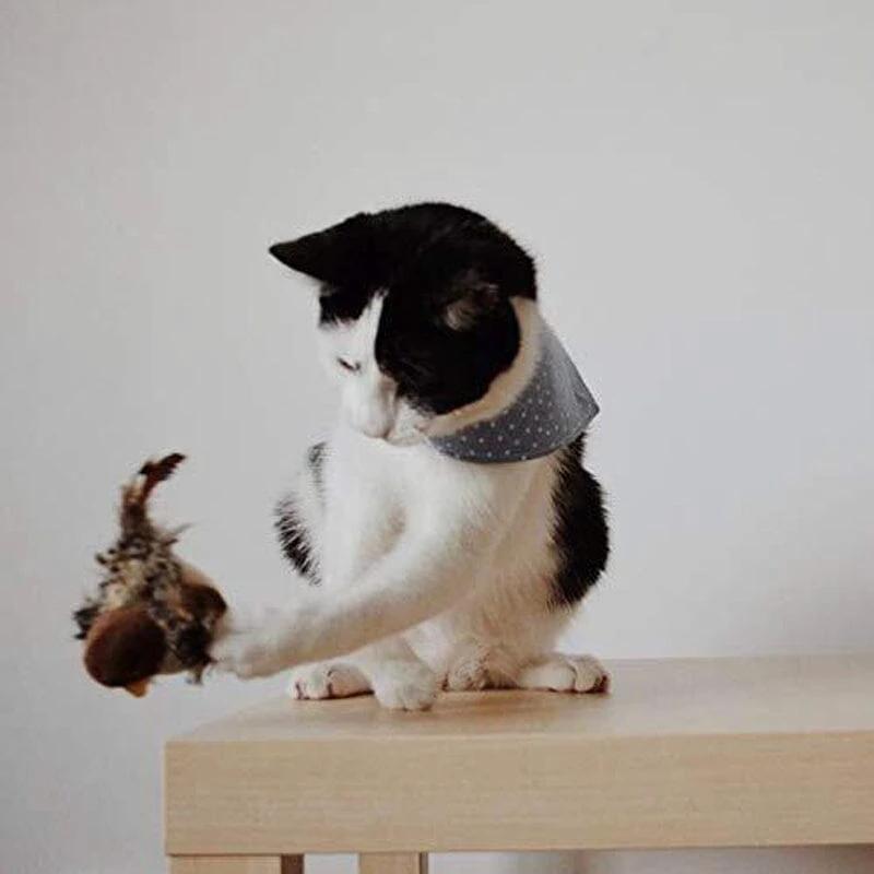 Cat toy - Simulated chirping bird Bowlift by Bowlift