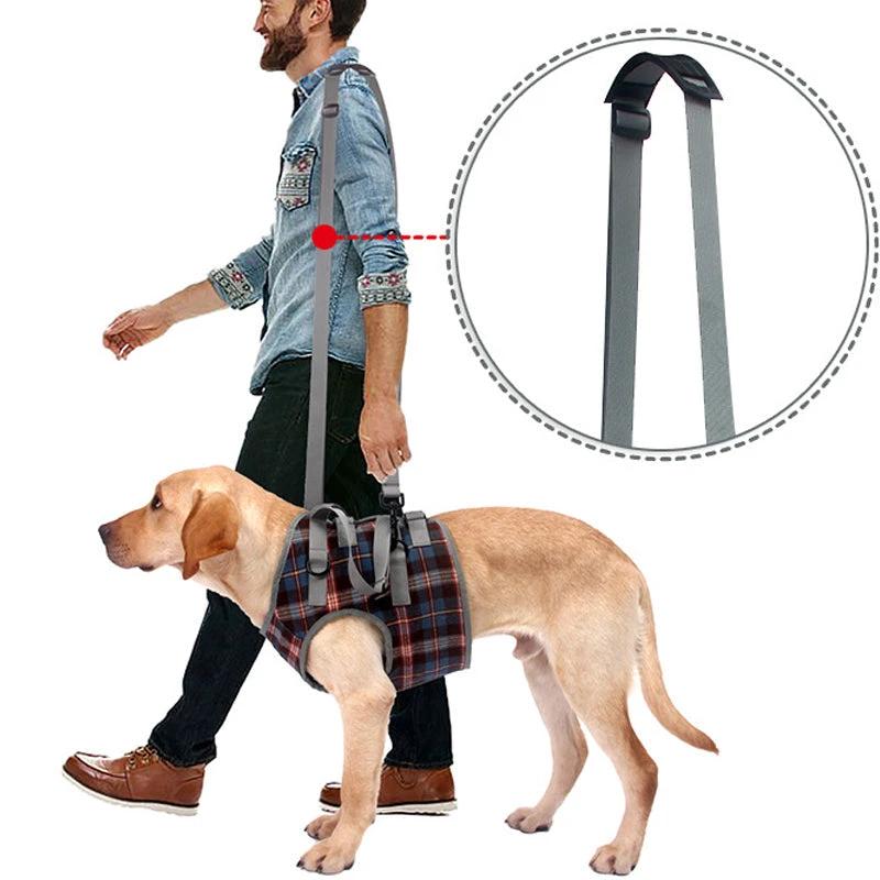 Orthopedic strap for hind legs by Bowlift