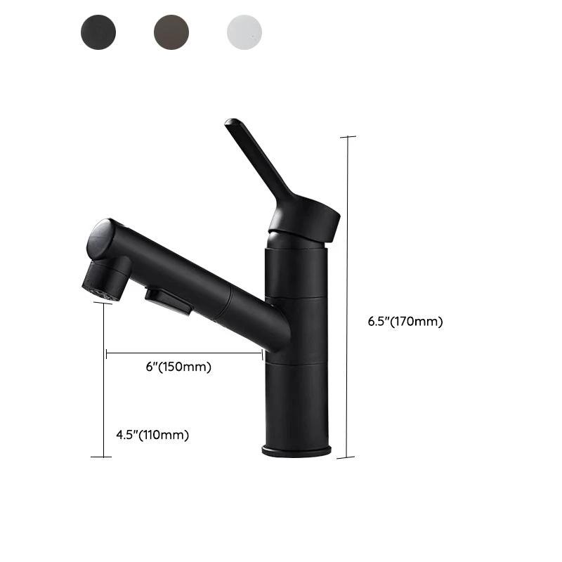 Bathroom Vessel Faucet Swivel Spout Single Handle Faucet with Pull-Out Spray Head by BowLift