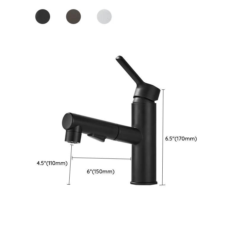 Bathroom Vessel Faucet Swivel Spout Single Handle Faucet with Pull-Out Spray Head by BowLift