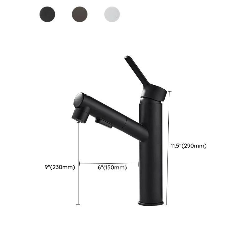 Bathroom Vessel Faucet Swivel Spout Single Handle Faucet with Pull-Out Spray Head by BowLift