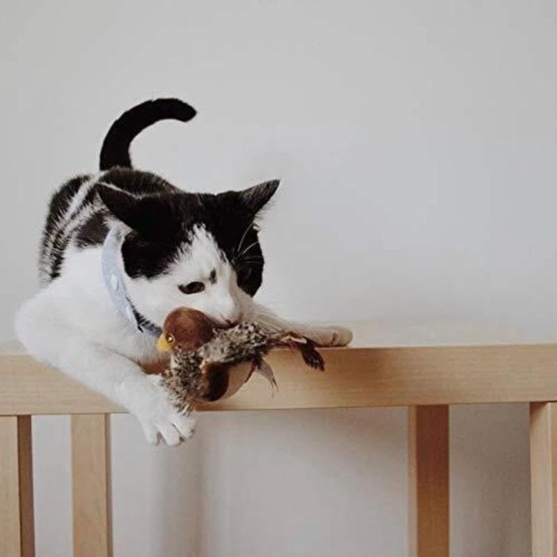 Cat toy - Simulated chirping bird Bowlift by Bowlift