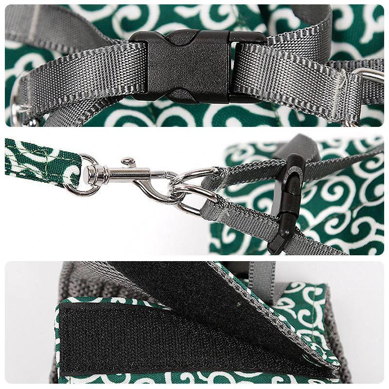 Collar jacket and leash for cat by Bowlift