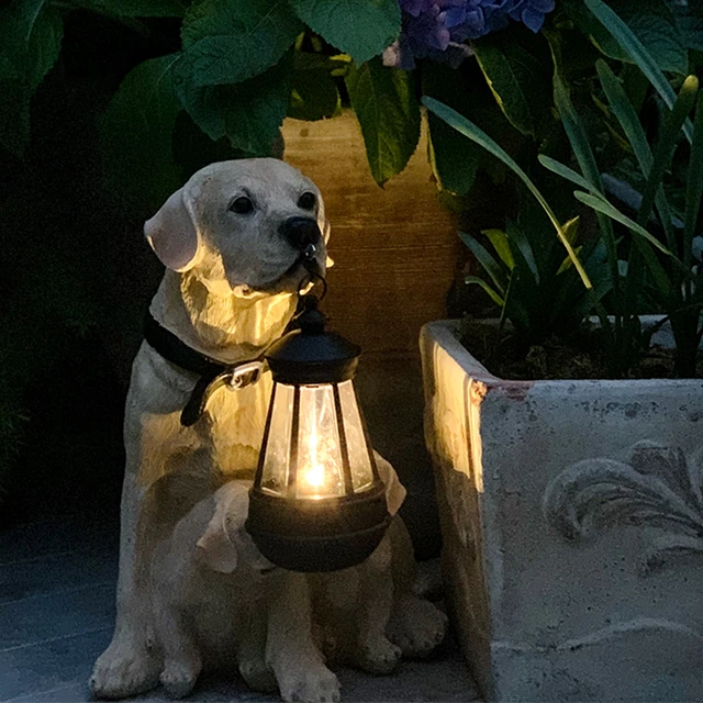 Playful Paws Solar Lamp Bowlift by Bowlift