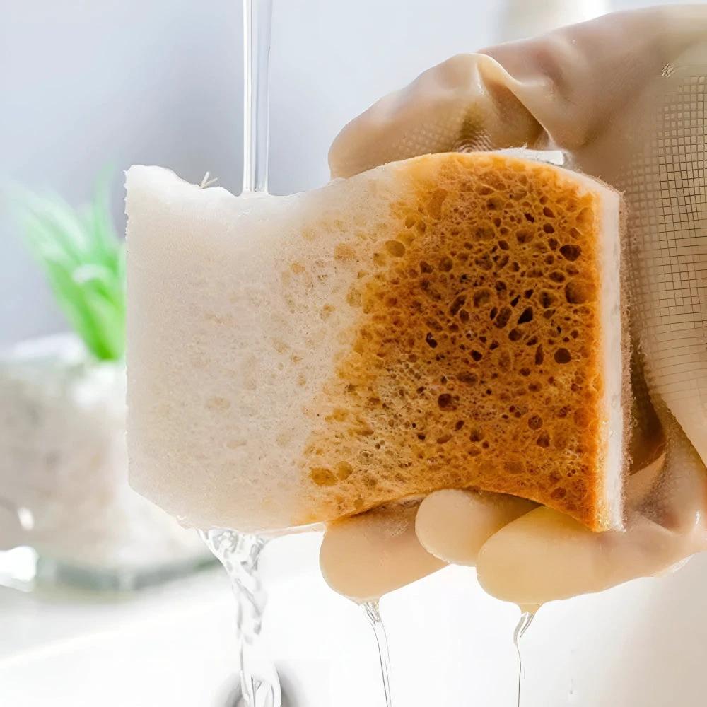 Coconut Fiber Natural Dish Sponge by Casa & Beyond