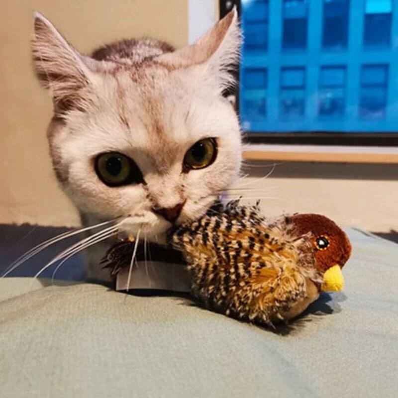 Cat toy - Simulated chirping bird Bowlift by Bowlift