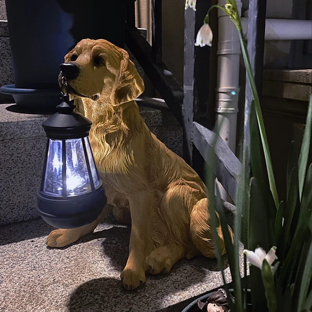Playful Paws Solar Lamp Bowlift by Bowlift