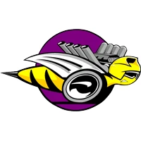 Custom flags-100% polyester-Dodge bumblebee flag-3x5ft by flagsshop