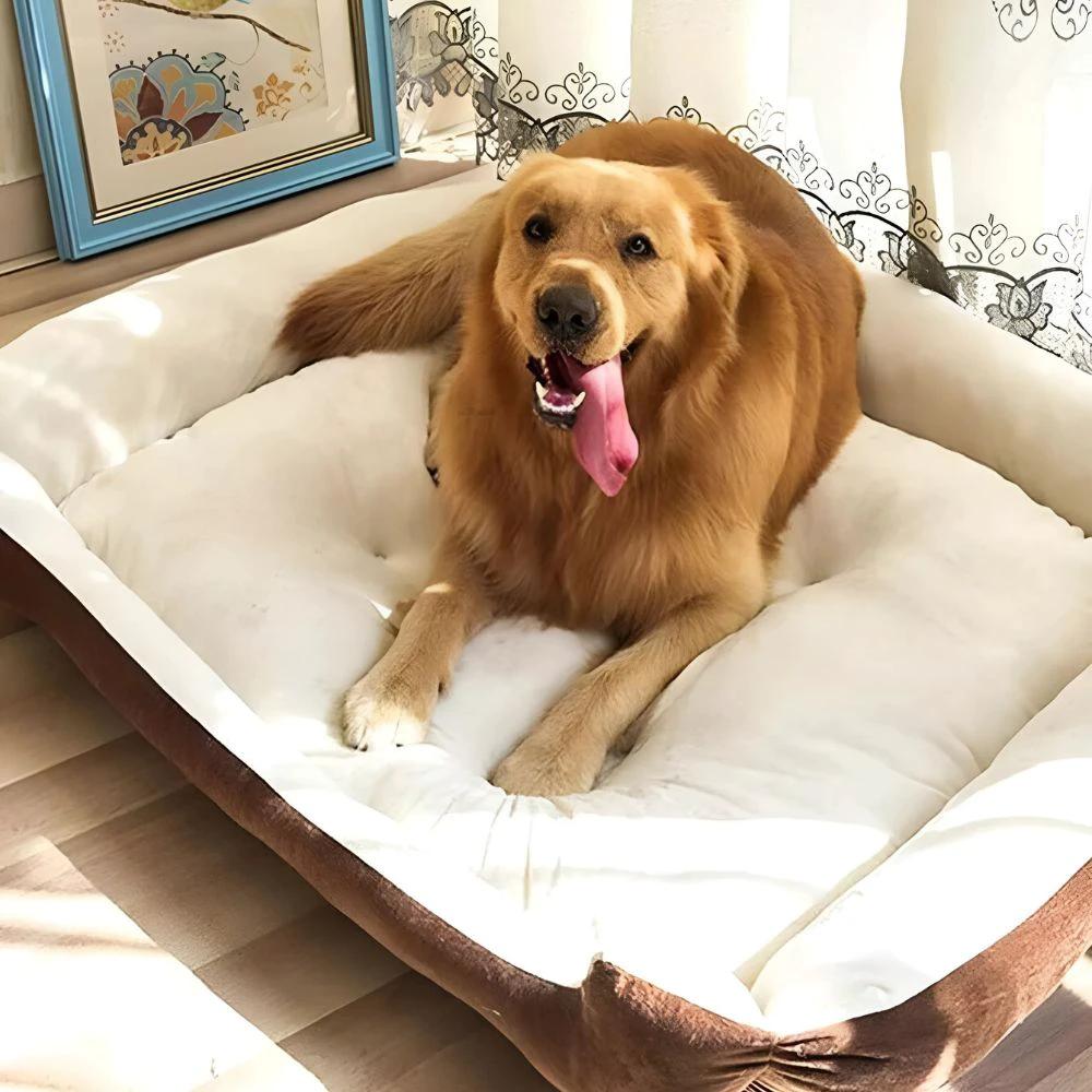 Fluff Zone Pet Bed by Casa & Beyond