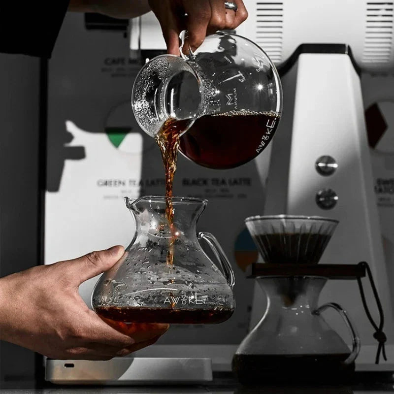 15oz Glass Pour Over Coffee Server Heat-Resistant Drip Brewing Carafe by Bowlift