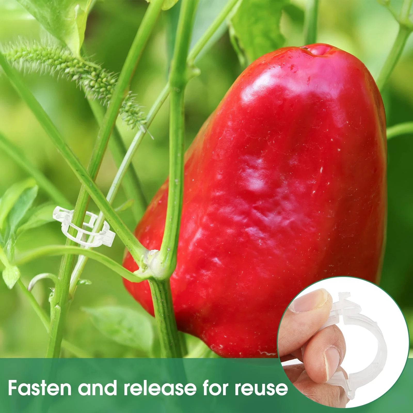 Tomato Clips, Plastic Trellis Clips by BowLift