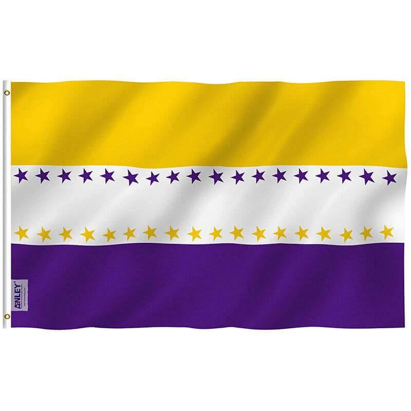 19th Amendment Victory Flag - Women's Suffrage Victory Flag with Brass Grommets 3X5Ft Banner USA by flagsjustdoit