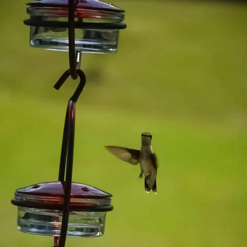 Simple Hummingbird Water Dispenser Made of Metal by BowLift