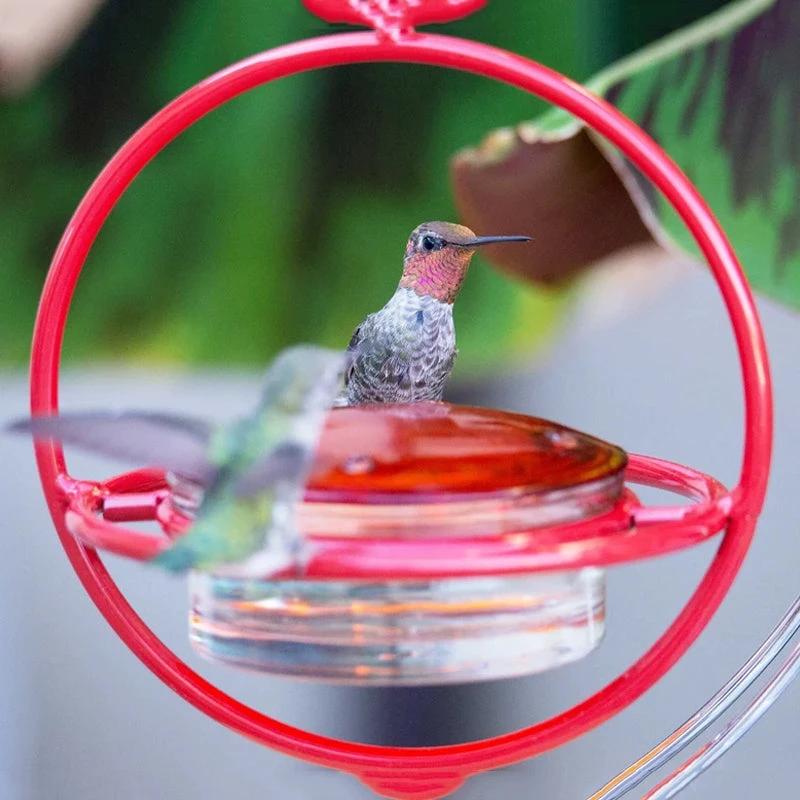 Simple Hummingbird Water Dispenser Made of Metal by BowLift
