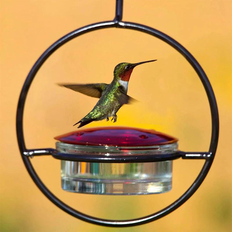 Simple Hummingbird Water Dispenser Made of Metal by BowLift
