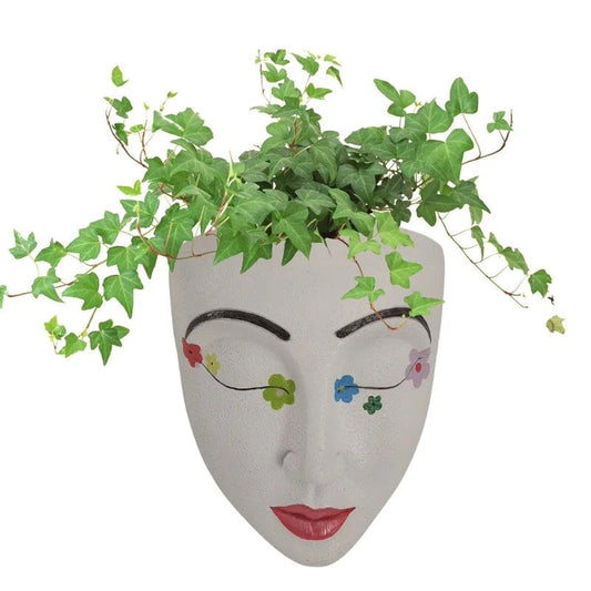 FaceBloom hanging plant box Bowlift by Bowlift