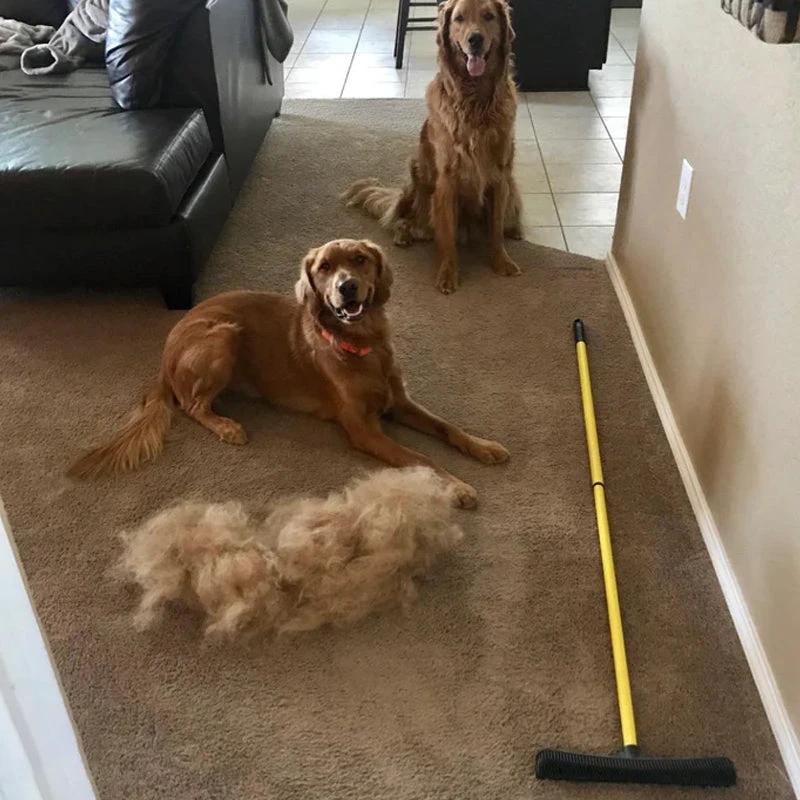 Fur remover by Bowlift