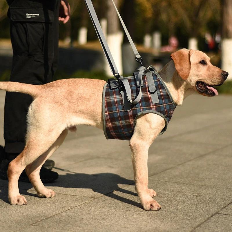Orthopedic strap for hind legs by Bowlift