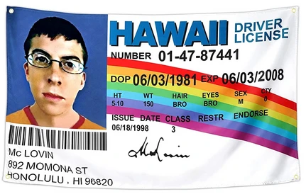 McLovin Flag Fake ID 3 x 5 Feet Banner College Dorm Frat Fake Driver License US-100% polyester-2 Metal Grommets by flagsshop