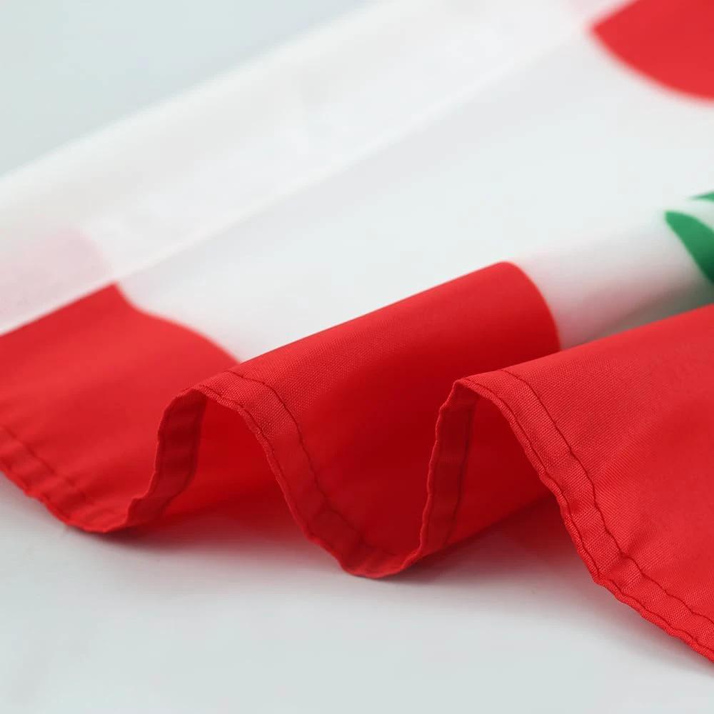 Lebanese flag Car Window Flag of Lebanon 11X18 Inch(28x46cm) 100% Polyester, Strong White Flagpole by flagsshop