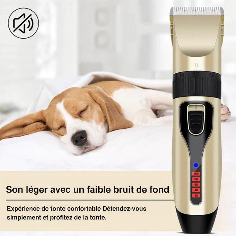 Professional Pet Grooming Set by Bowlift