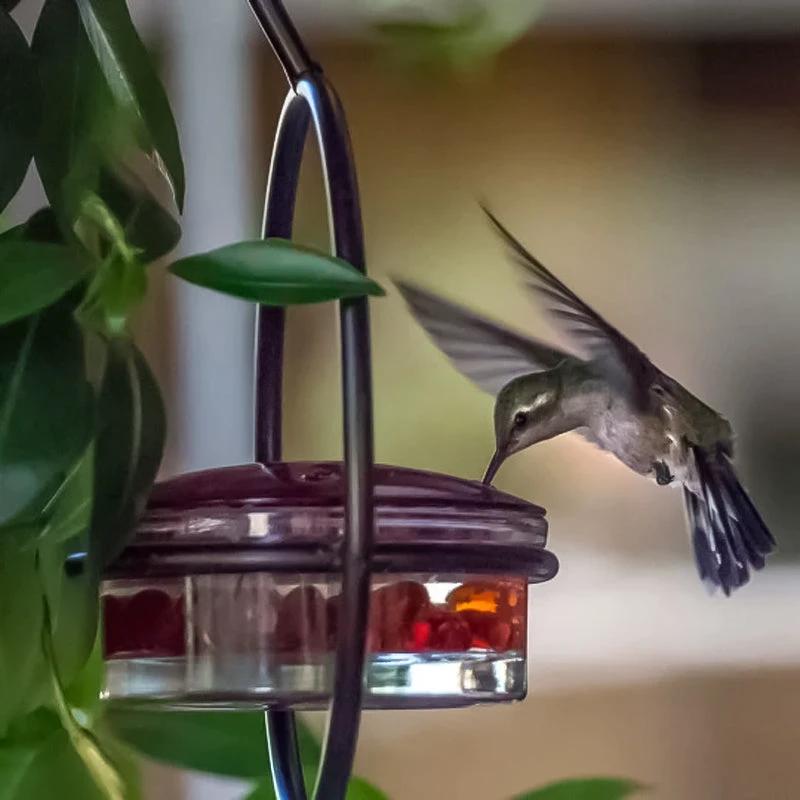 Simple Hummingbird Water Dispenser Made of Metal by BowLift