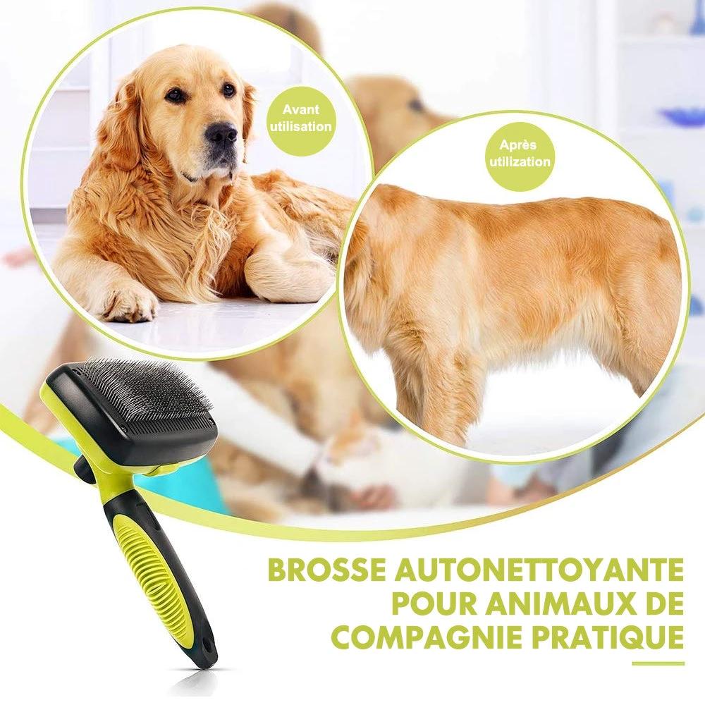 Ciaovie Brush for Pet Cleaning by Bowlift