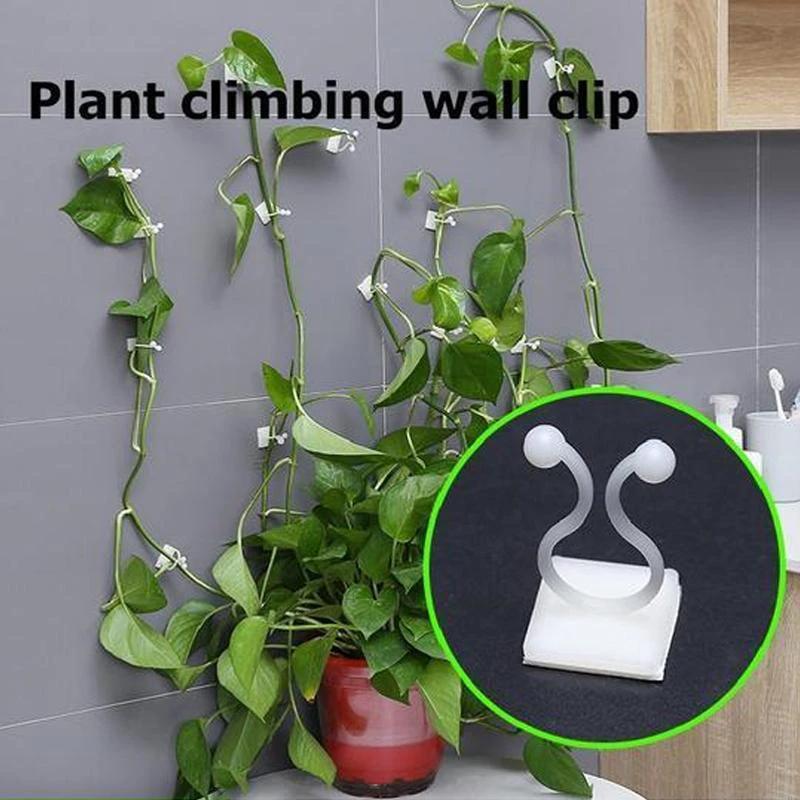 Wall clips for climbing plants (30 pieces) by Bowlift