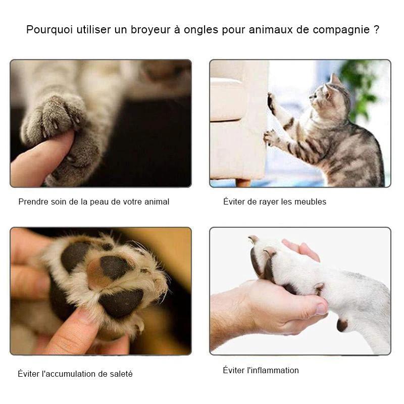 Electric Nail Clipper for Pets by Bowlift