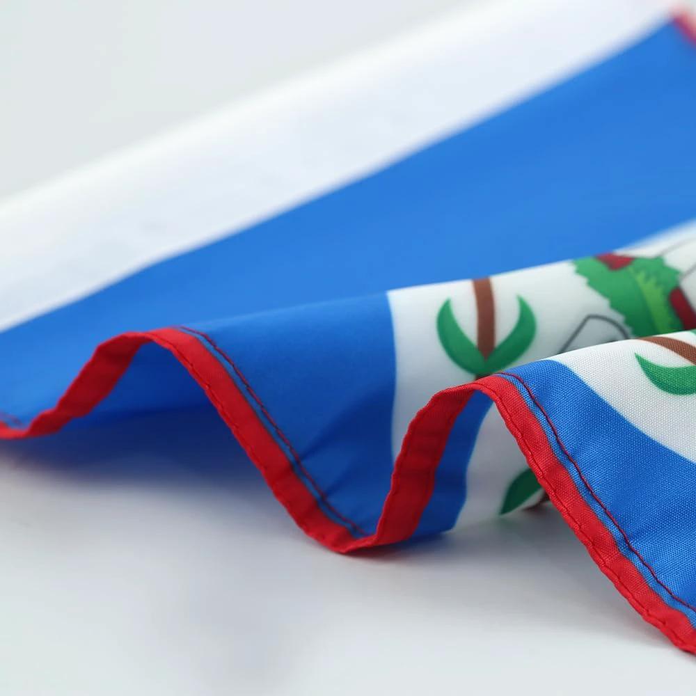 Car Window Flag of Belize 11X18 Inch(28x46cm) 100% Polyester, Strong White Flagpole by flagsshop