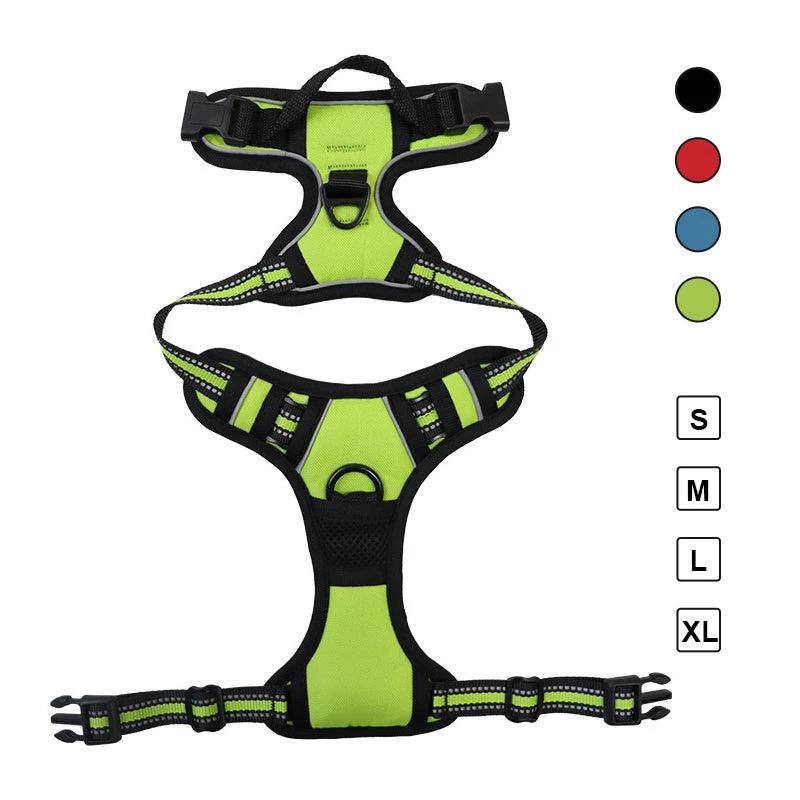 3-in-1 Pet Walking Kit by Bowlift