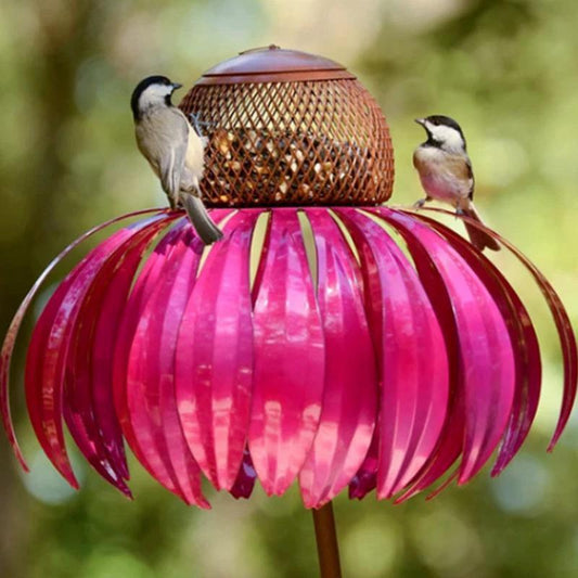 Bird Feeding Station D'éChinacéE by Bowlift