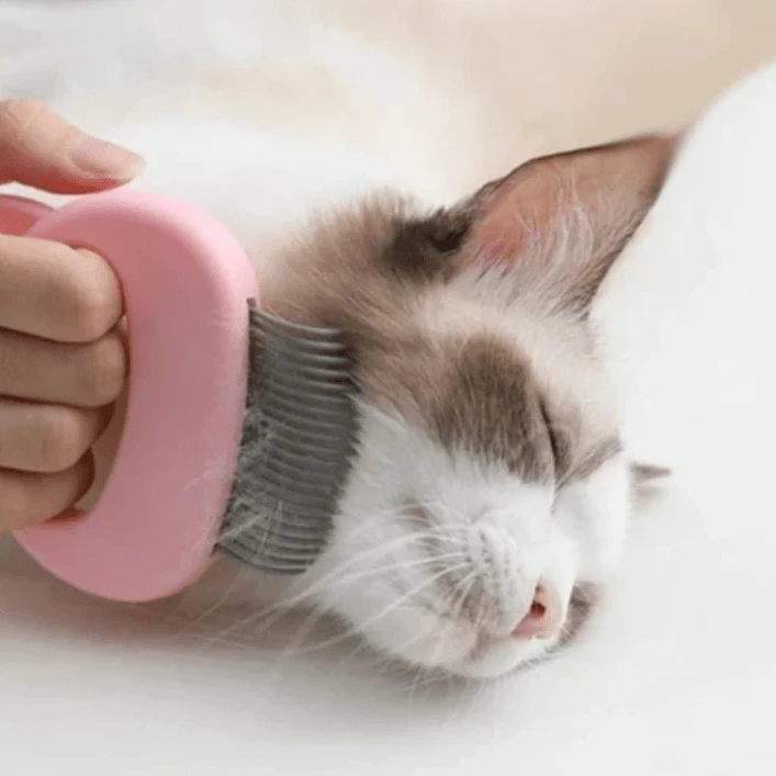 Mini Comb for Pets 2 In 1 by Bowlift