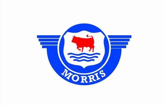 MORRIS Flag-3x5ft Banner-100% polyester-White by flagsshop