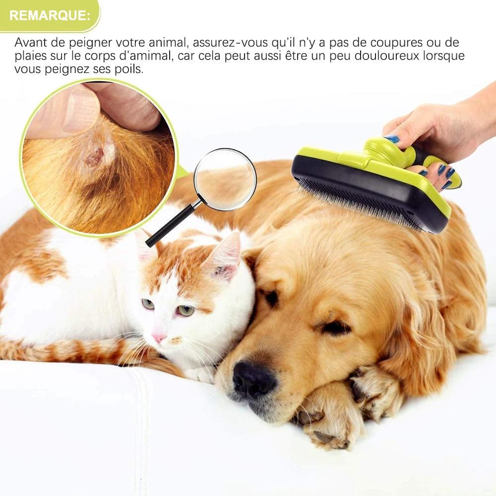 Ciaovie Brush for Pet Cleaning by Bowlift