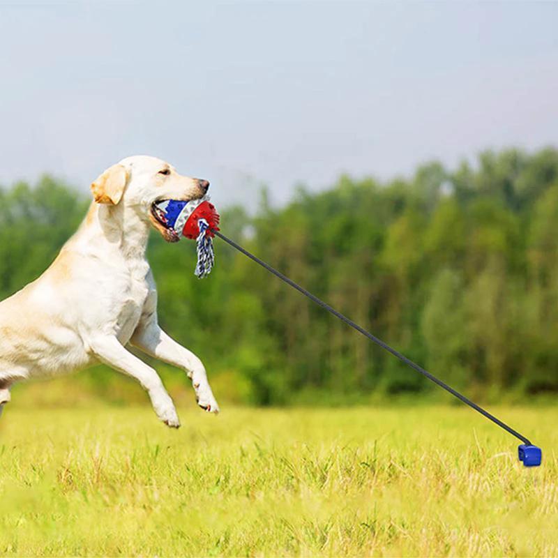 Outdoor toy rope ball for pets by Bowlift